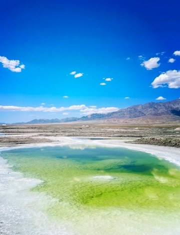 陈厨老饭铺(经二路店)
