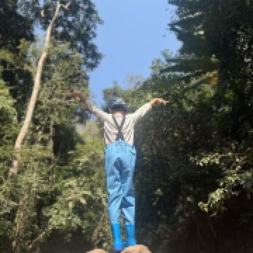 晕乎乎的胖大海