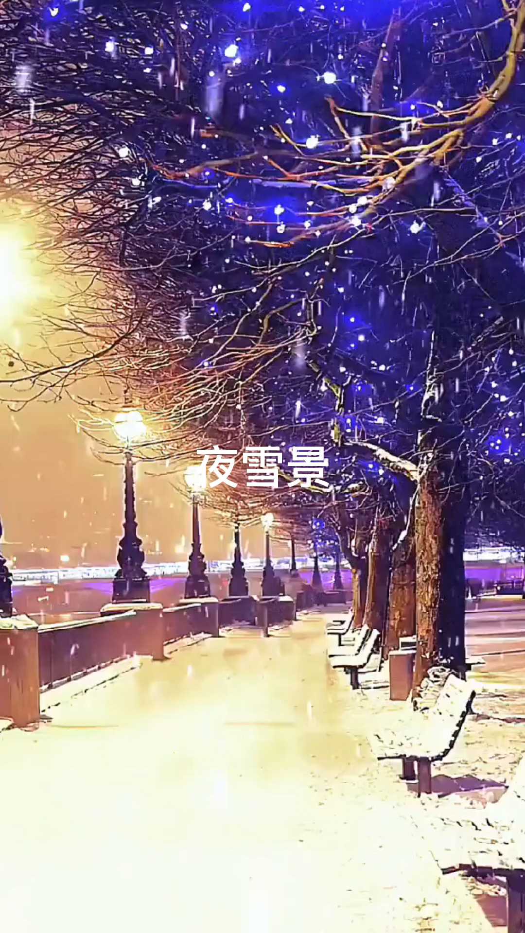 夜雪景