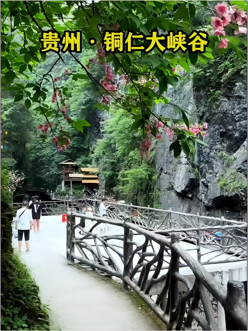 如果你喜欢户外奇特的自然景观，那就来贵州铜仁大峡谷吧。纯粹的