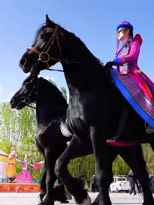 新疆博湖：策马奔腾 体验马背上的浪漫之旅