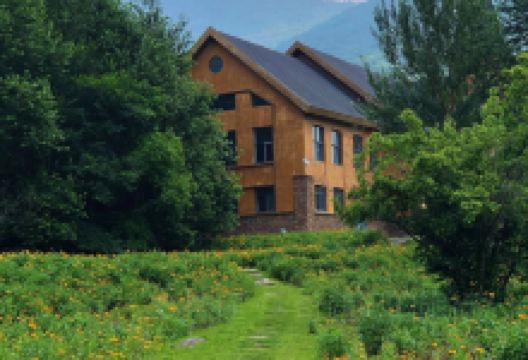 北大壶梦幻薰衣草主题公园景点图片