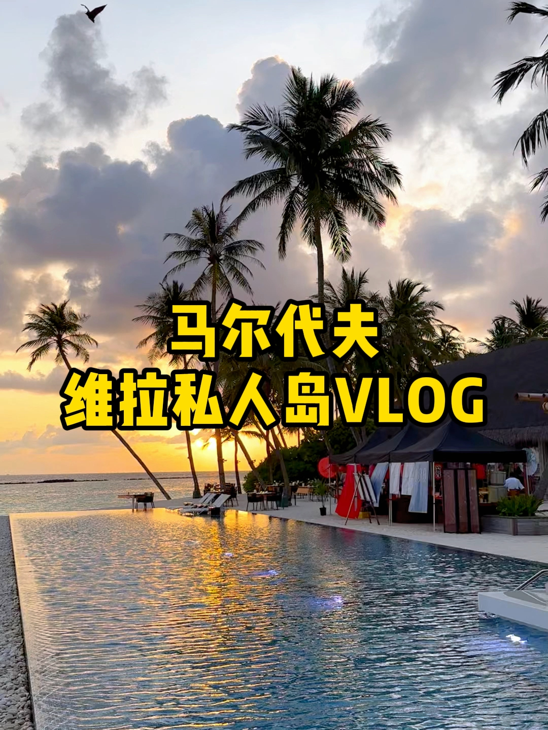 今天是维拉私人岛vlog#奢游马尔代夫