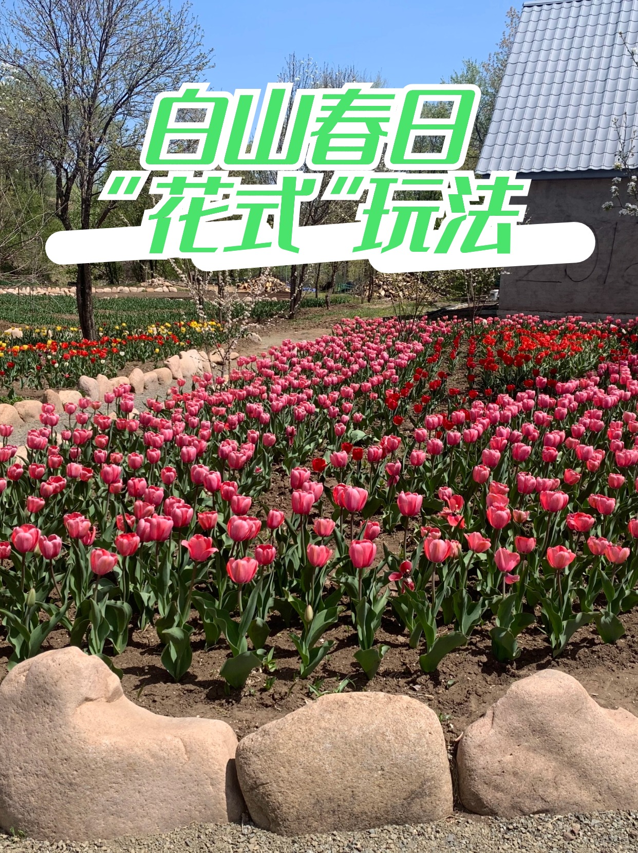 周末春游|白山“花式”春日玩法景点推荐！