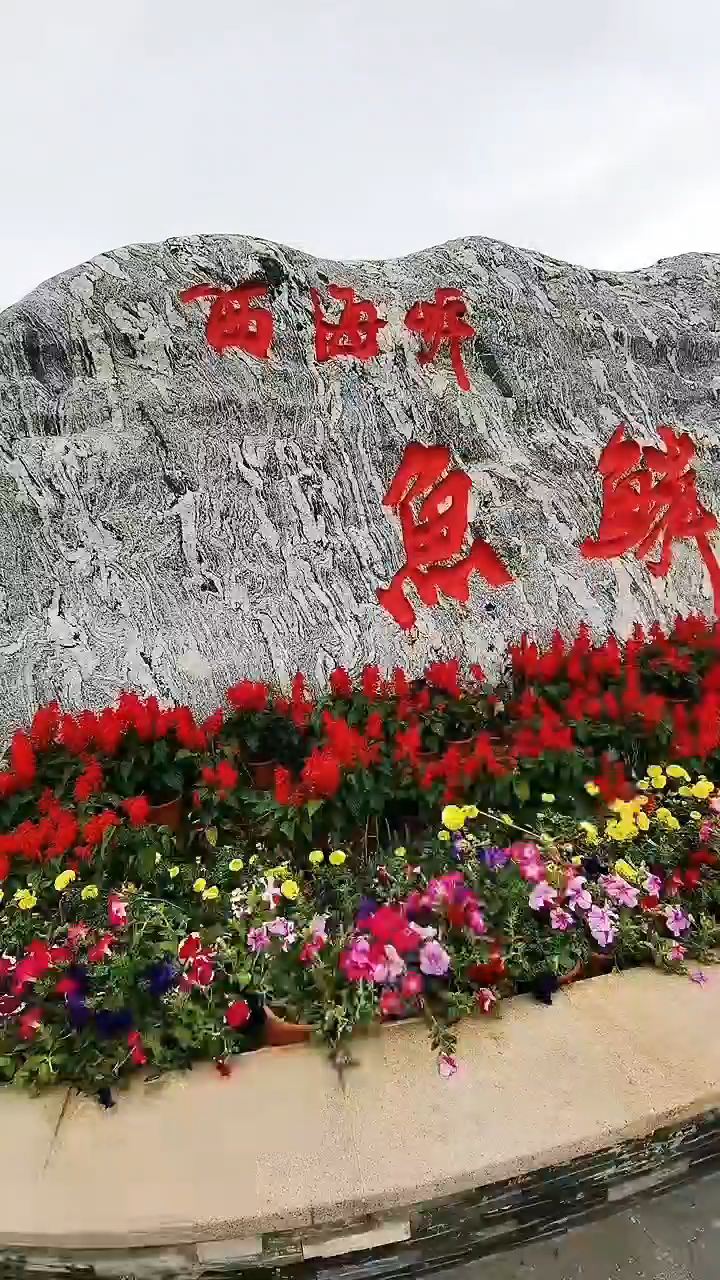 东方鱼鳞洲