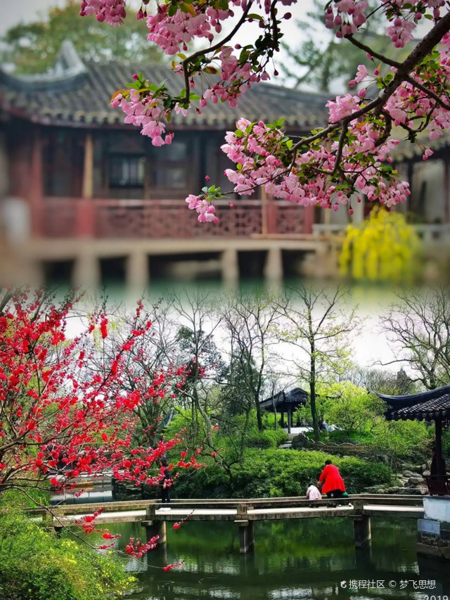 春天苏州园林,赏花攻略来啦