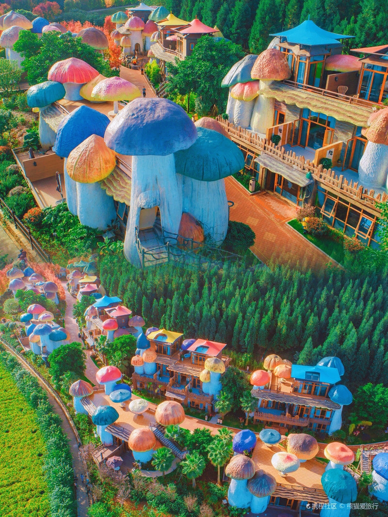 🤗太梦幻了!我竟然住进了巨型蘑菇村!🍄