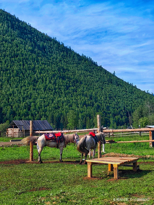 这才是禾木的正确打开方式,骑马探索它深藏不露的美|打卡布尔津禾木
