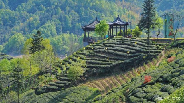 六安西茶谷主题公园