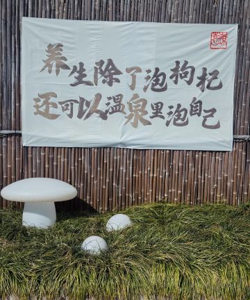 武义卓韵凯艺酒店(县政府武义古城店)图片