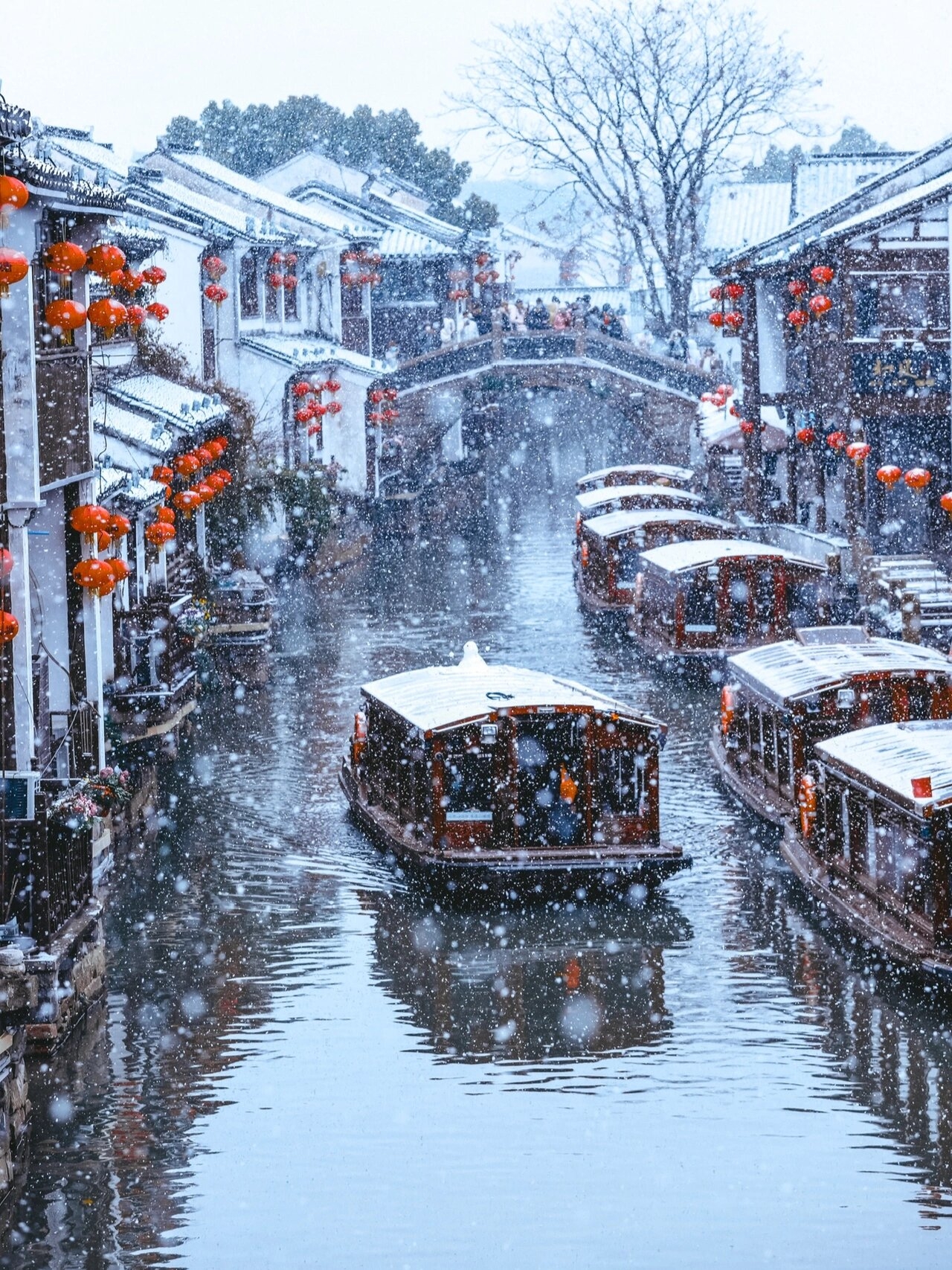 苏州初雪❄️原来这就是古人诗中的姑苏城啊❄️