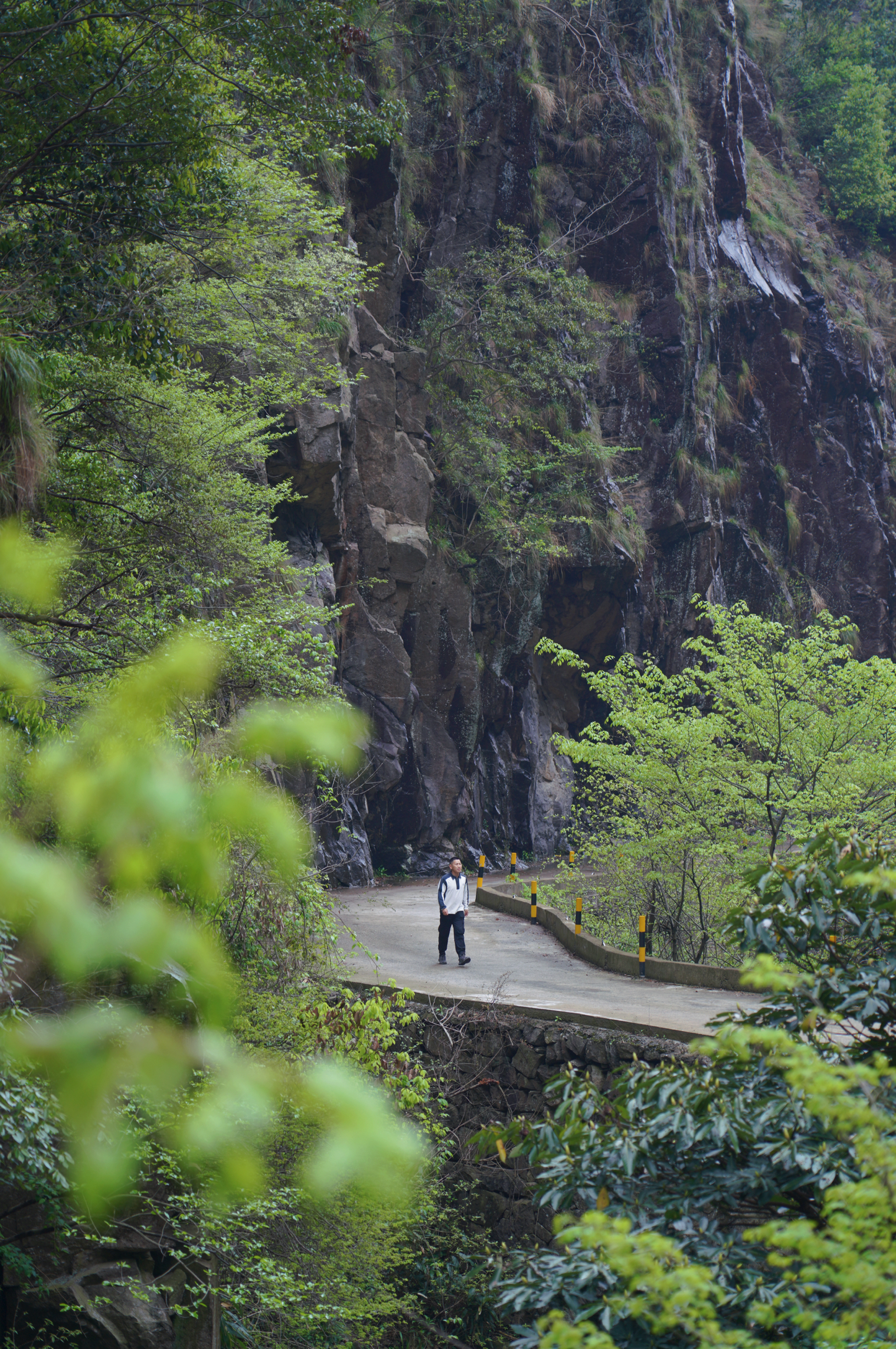 杭州最佳徒步秘境❗️可以使劲吸的天然氧吧❗️