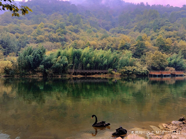超强攻略_玩转康县阳坝自然风景区之行