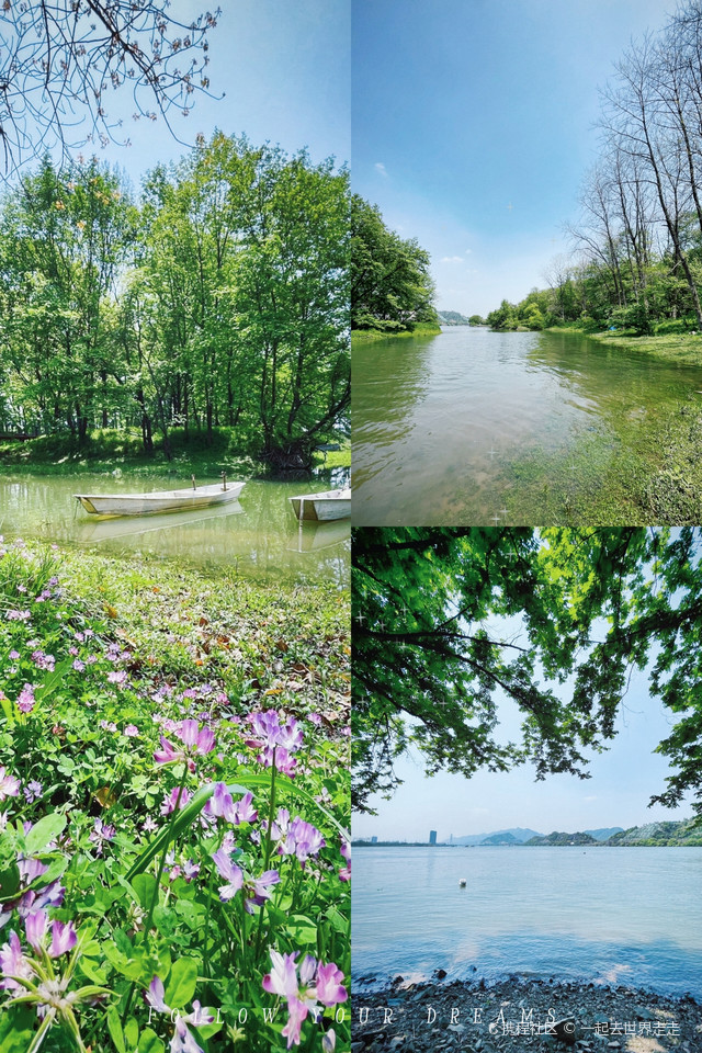 仿佛走进了绿野仙踪_杭州桐洲岛玩法