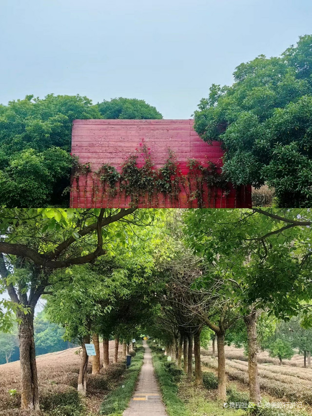 湖州长兴开元芳草地度假酒店