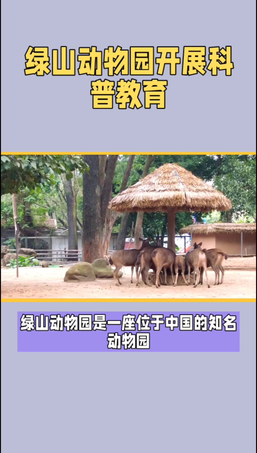 绿山动物园：探秘中国知名动物园