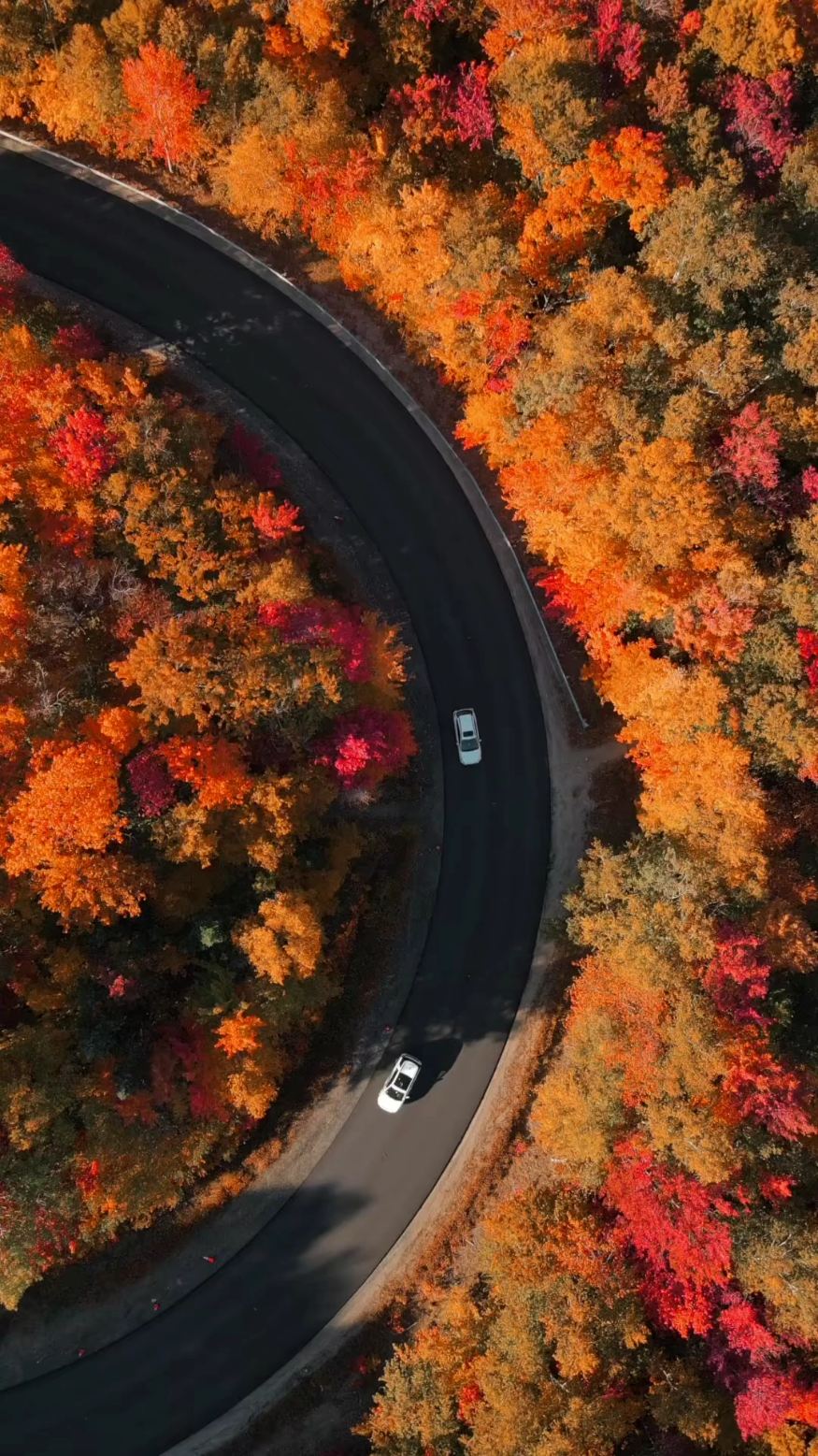 秋天公路旅行的感觉