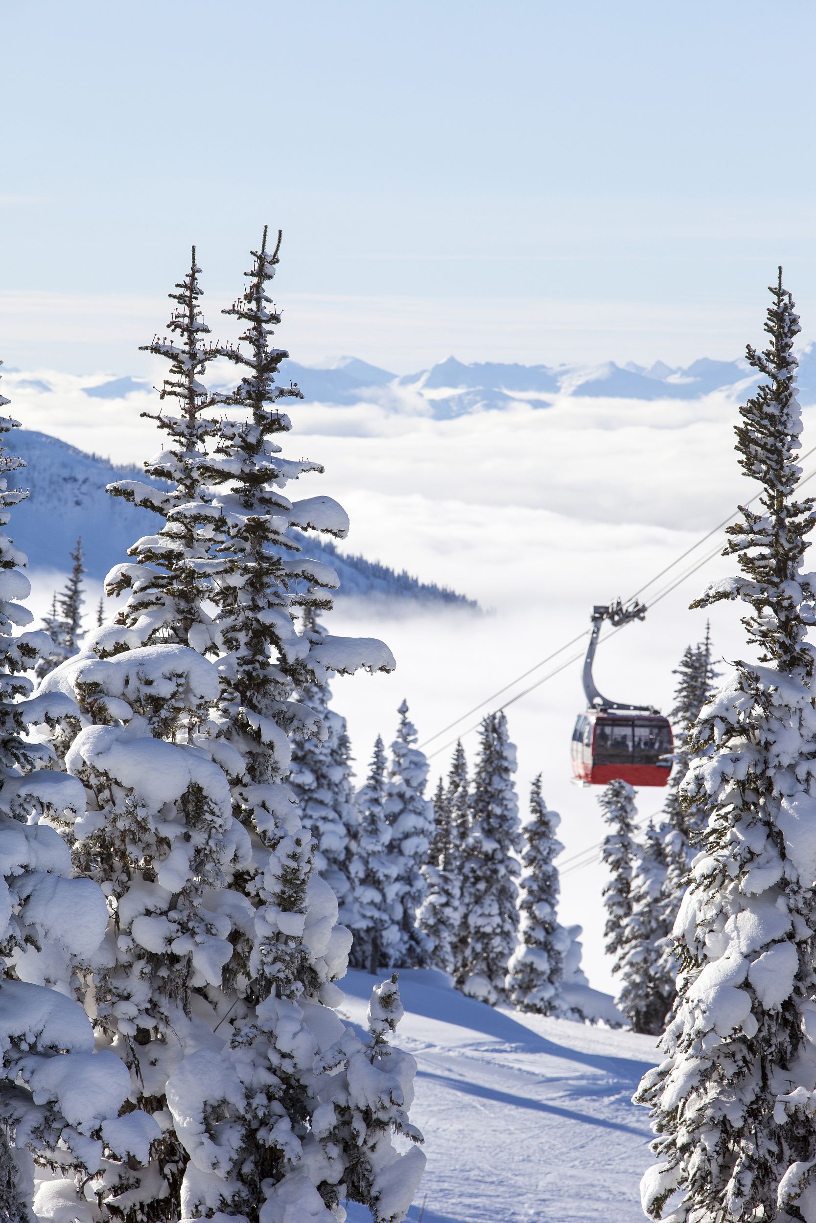 温哥华滑雪圣地，这才是冬天的快乐❗