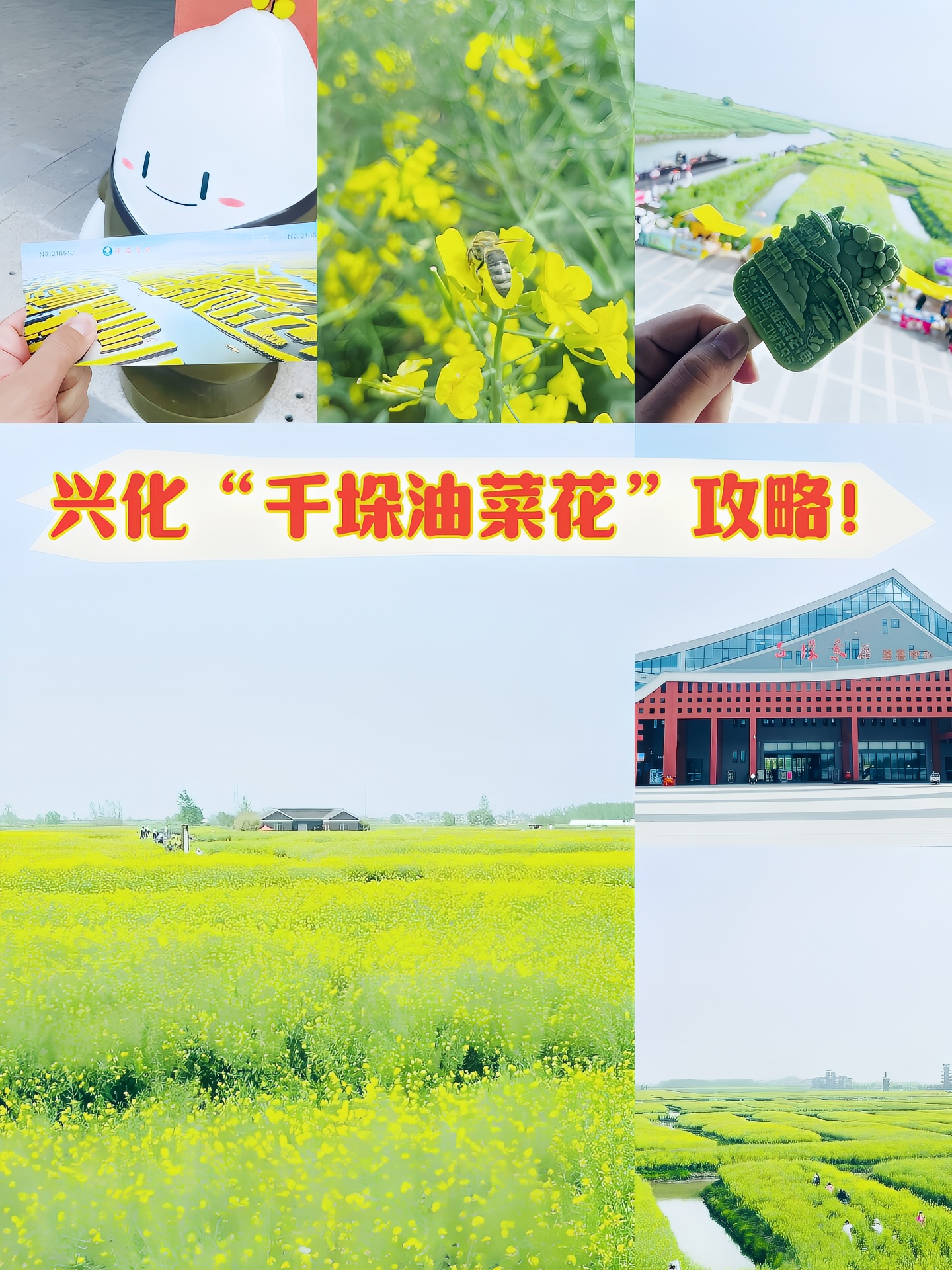 泰州•兴化“千垛油菜花”攻略📚|||📍