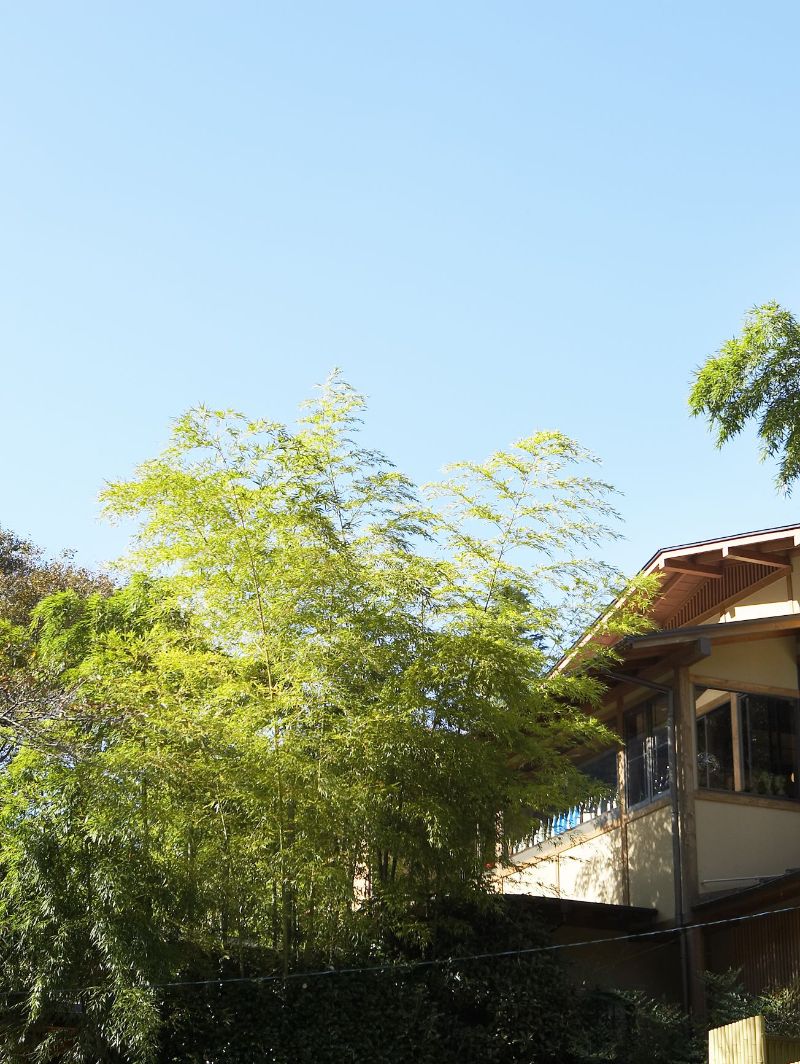 山之茶屋，箱根自驾游必打卡的和风旅馆