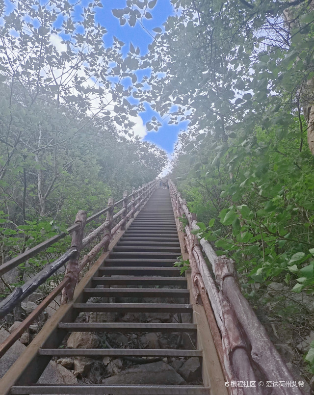 凤凰岭景区游玩攻略来啦_超全干货