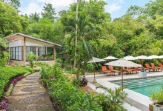 Chuan Tin Special Lomie Hokian美食图片