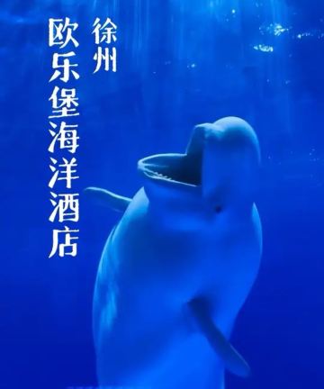徐州欧乐堡海洋酒店图片