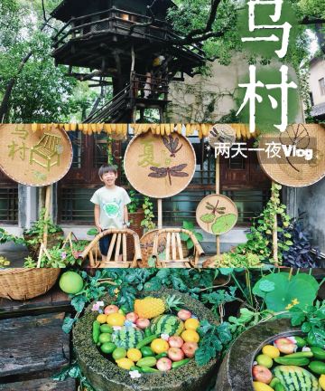 乌镇乌村酒店图片