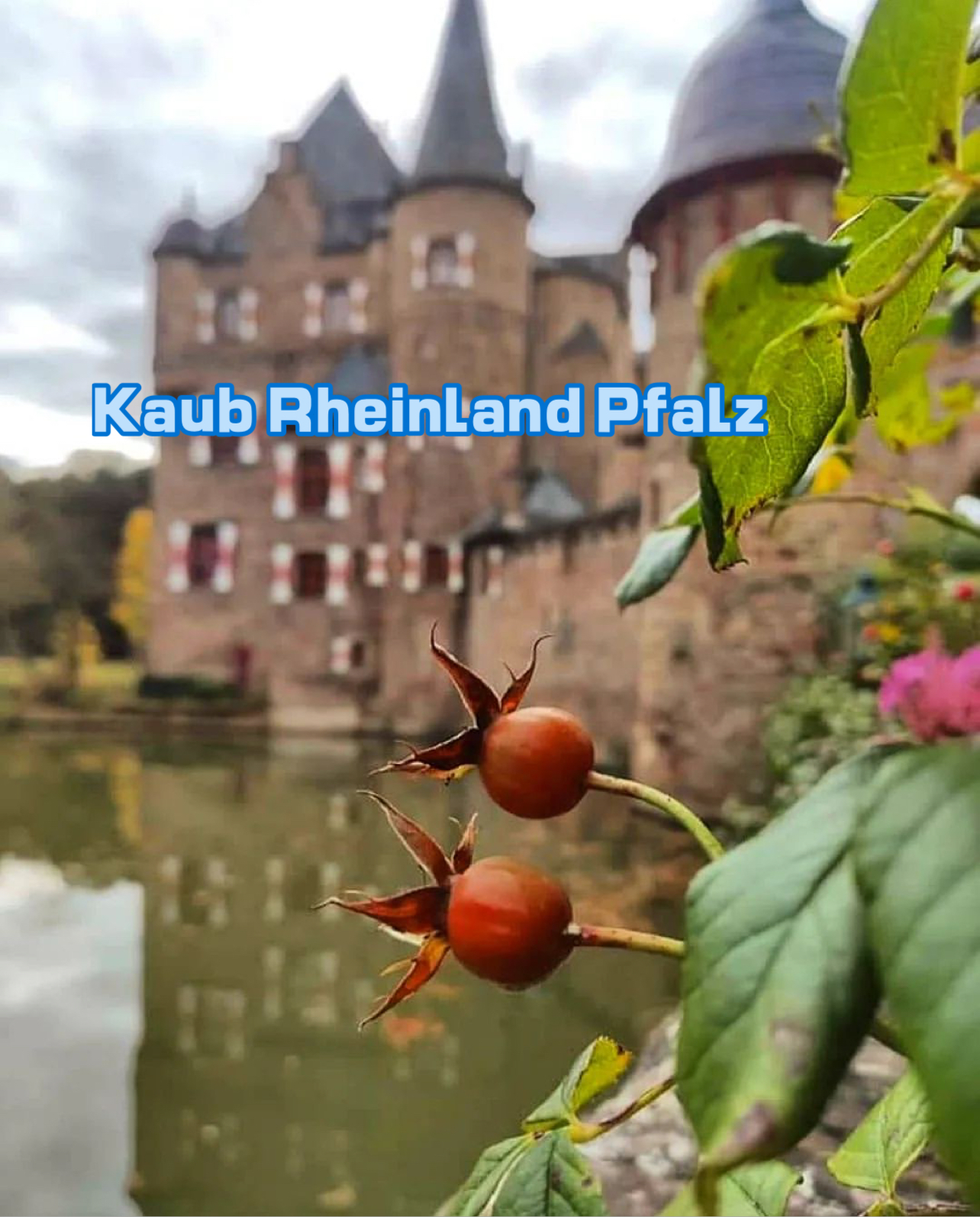 Kaub Rheinland Pfalz