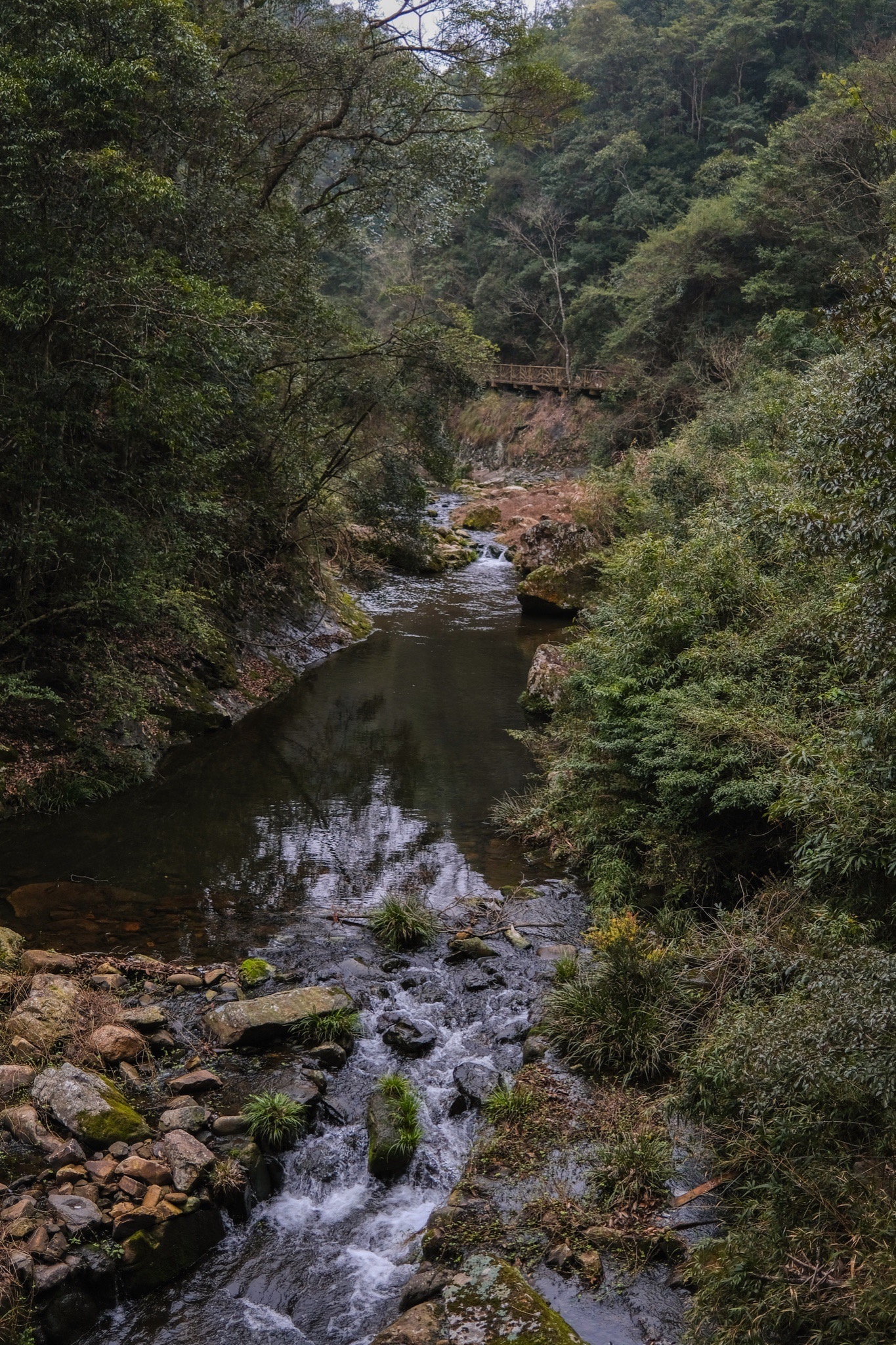 永泰的高山峡谷景区门口空无一人，只有一个中年男人坐在门岗里打瞌睡，他无精打采地检票。我们一进入林中就