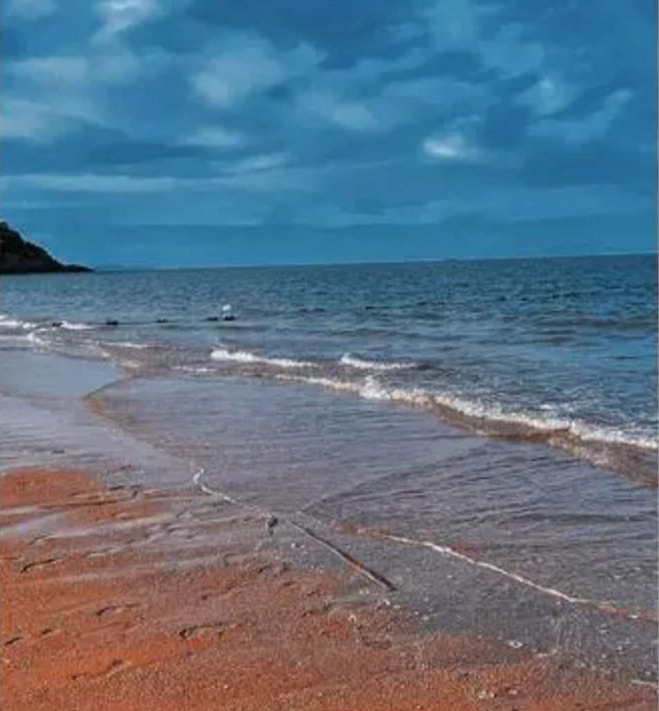 江苏启东的碧海银沙海滩景色很美，值得一游。