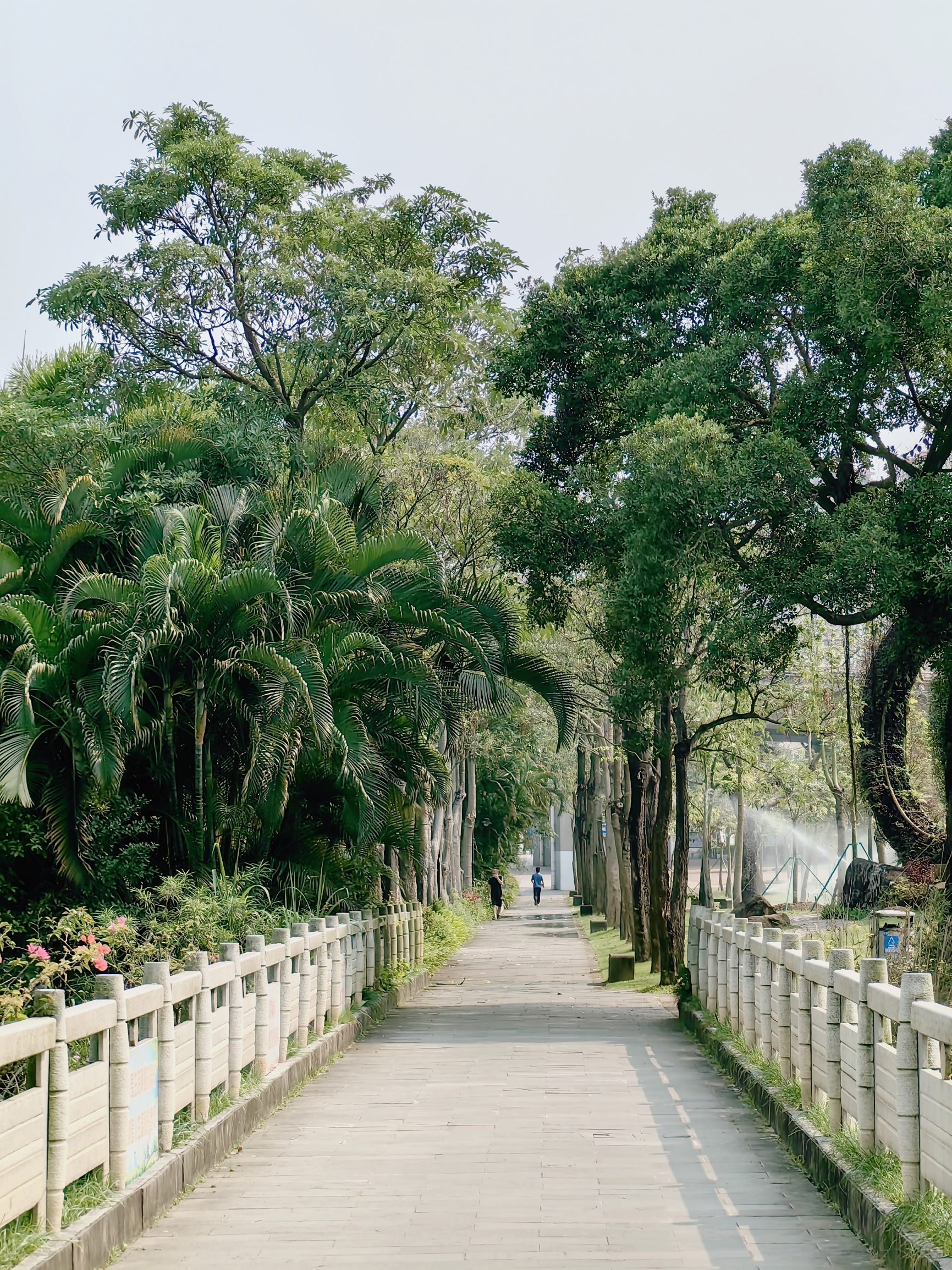 玩转湛江｜中澳友谊花园