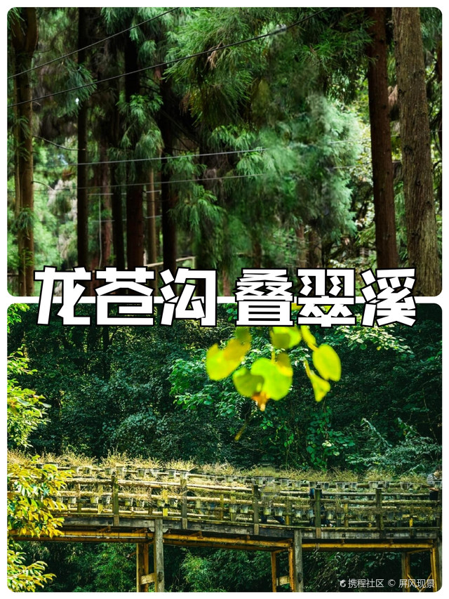 9115推荐理由:荥经县龙苍沟叠翠溪景区简直是大自然的宝藏之地!