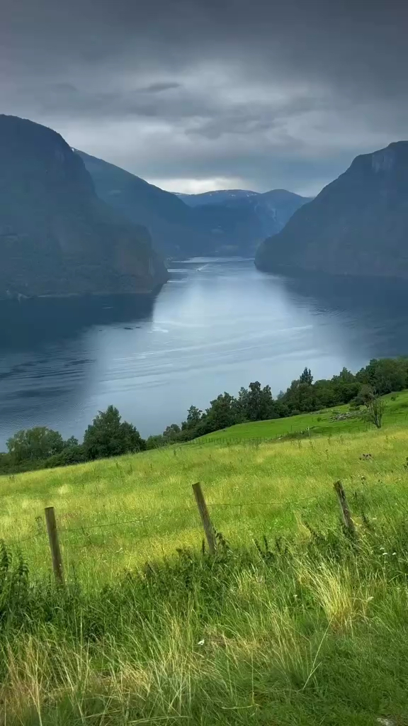 挪威的森林