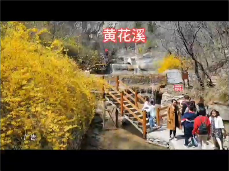 快和家人朋友一起出游吧。春日游玩推荐你来打卡黄花溪，号称北方九寨沟，位于潍坊市青州市泰和山风景区内。