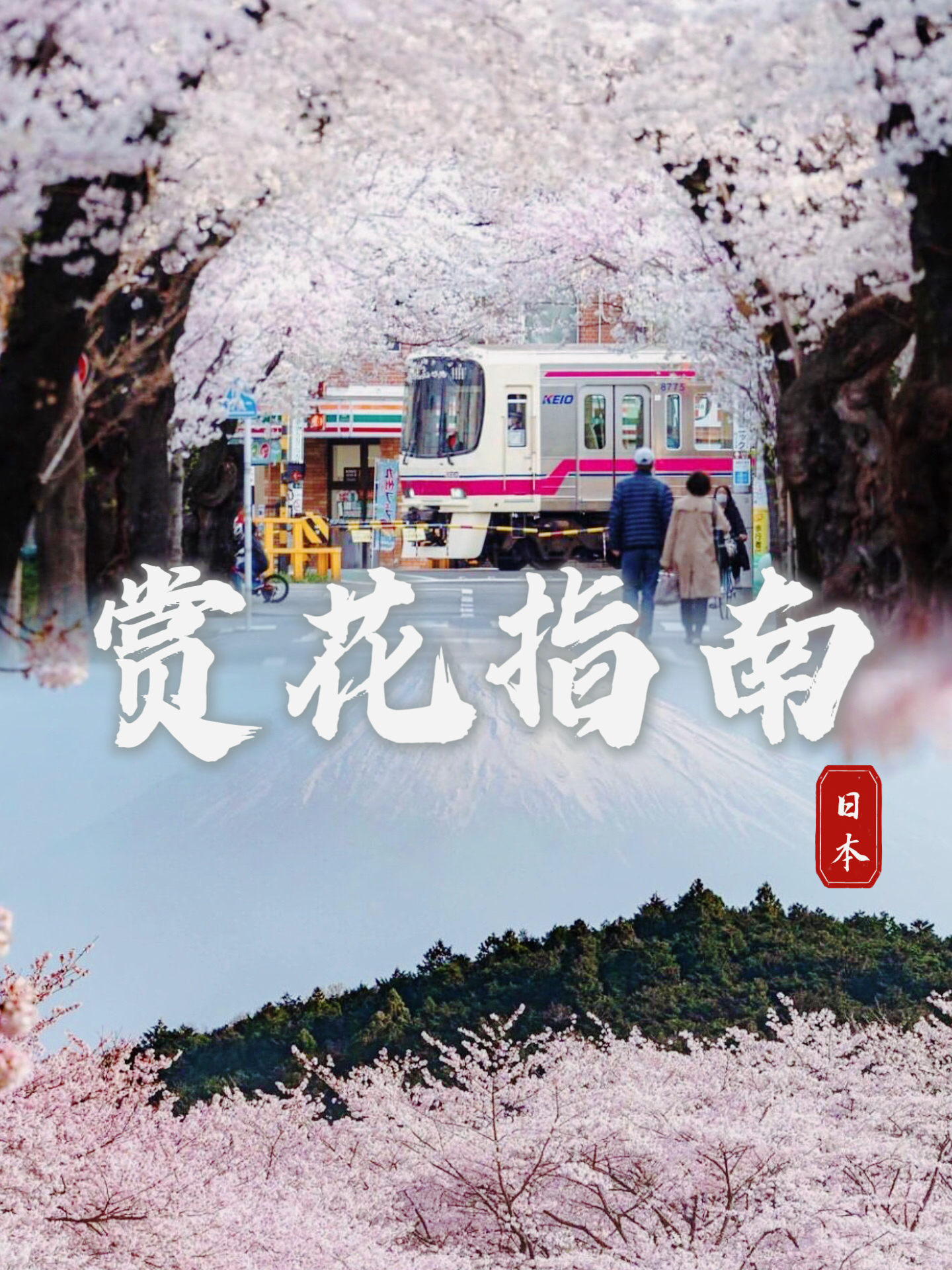 迎接樱花季：2024日本赏花指南，八大美景等你来！