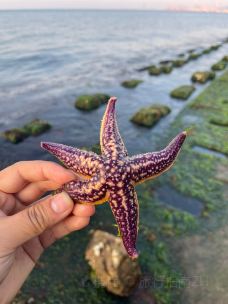 那香海钻石沙滩浴场-荣成-旅行指南ZH