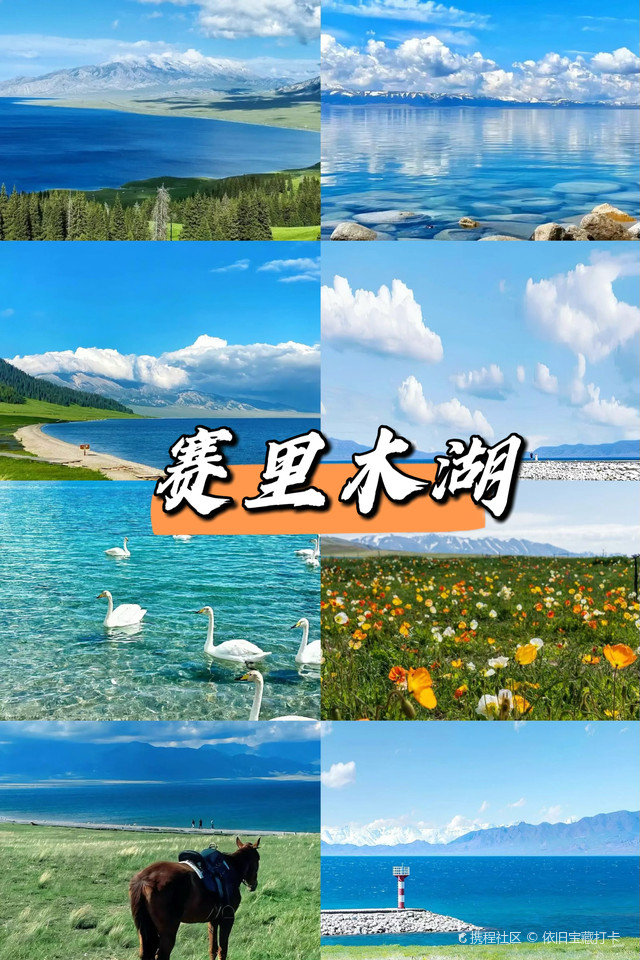 赛里木湖金莲花旅游攻略，旅游帮手