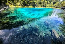 馋滋坊鲜牦牛杂火锅美食图片