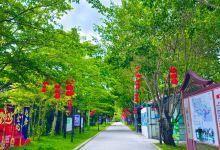 白塘湖公园景点图片