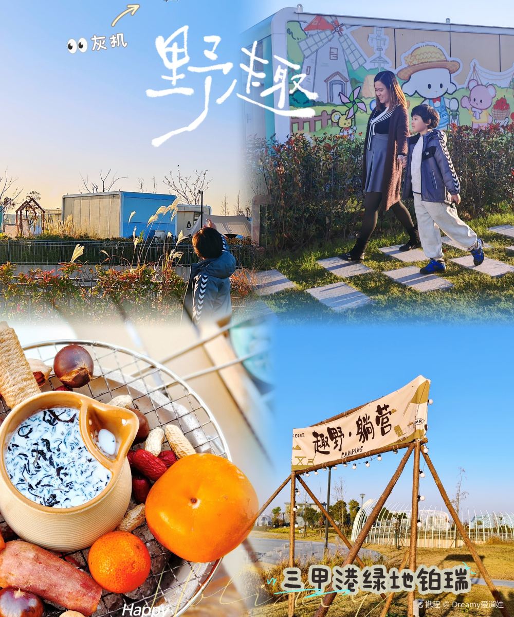 上海三甲港绿地铂瑞酒店图片