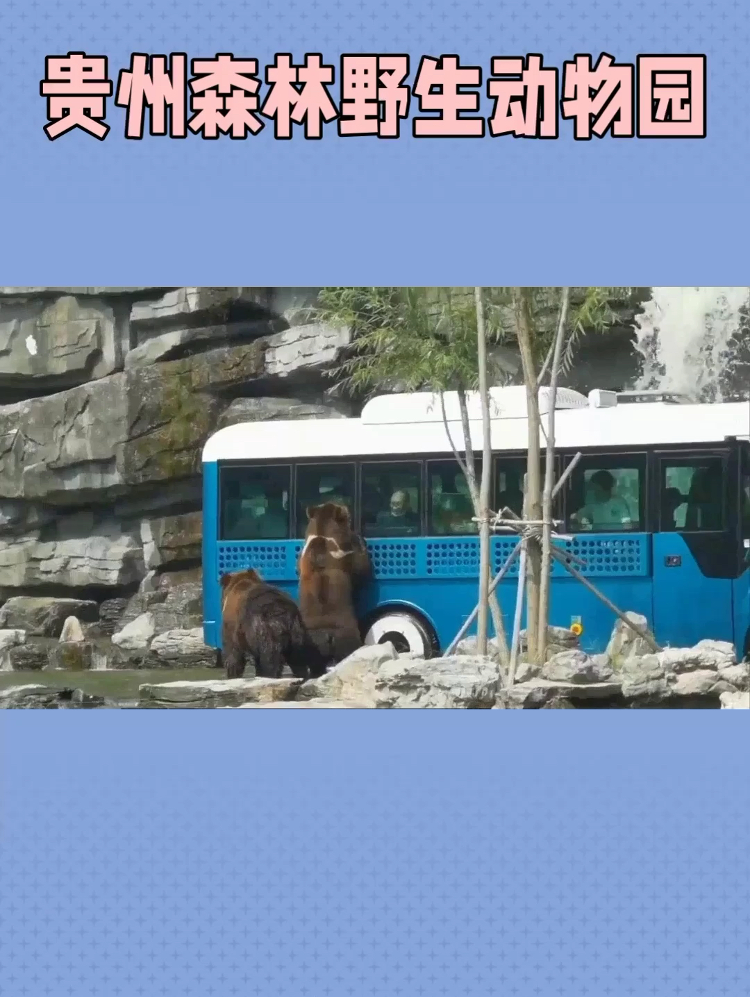 贵州森林野生动物园：探秘珍惜动物的天堂