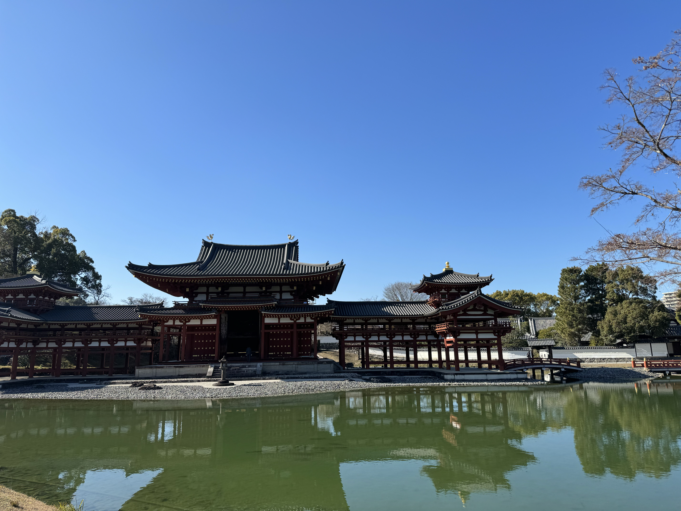 🌸日本宇治半日游🌸