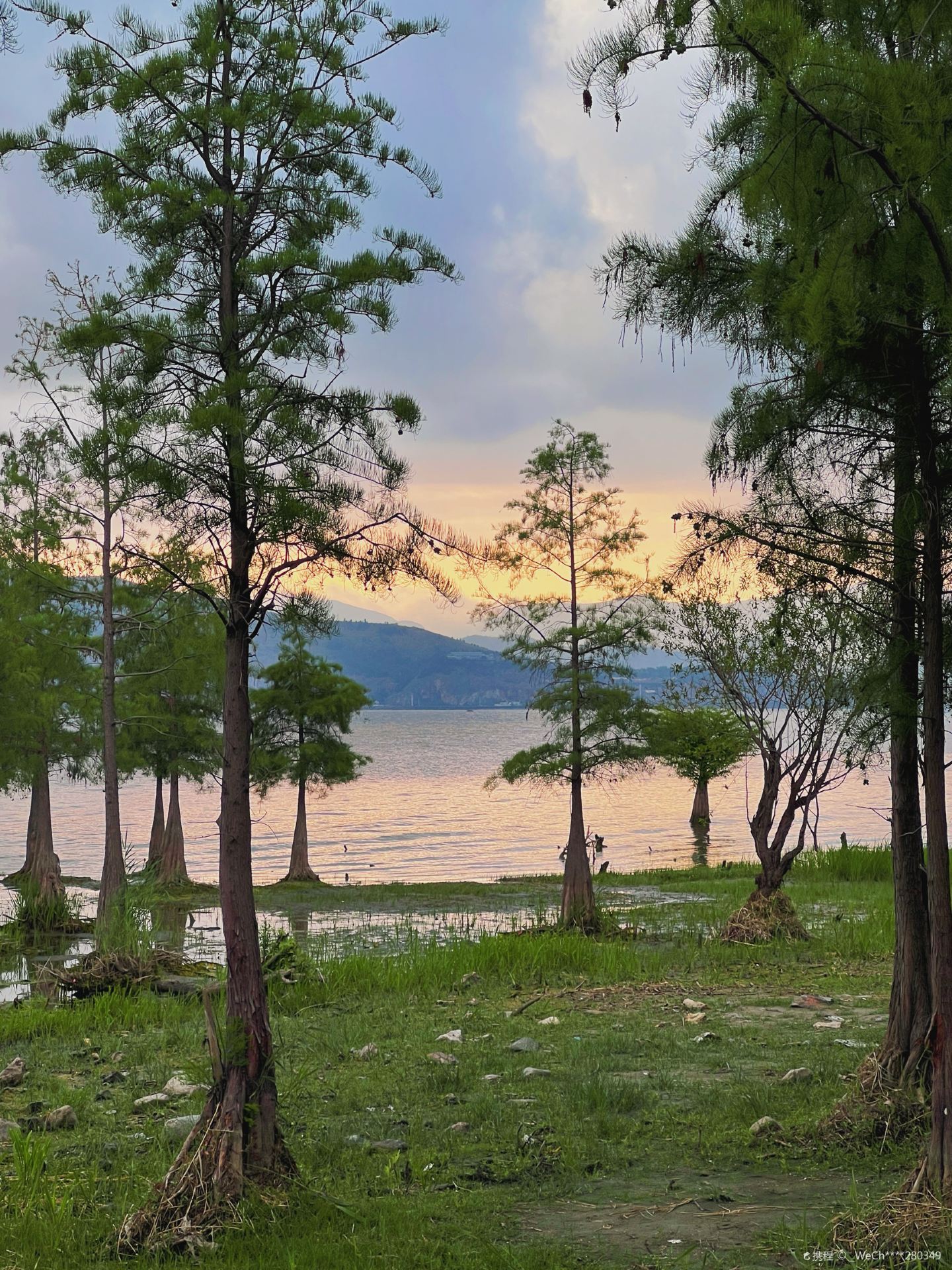洱海湿地公园