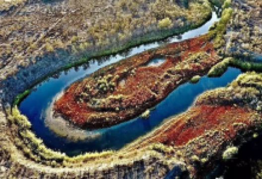 甘家湖梭梭林国家自然保护区景点图片