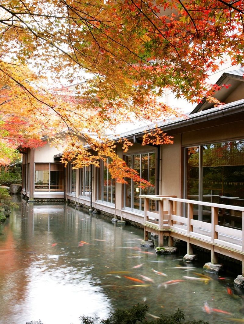 下吕温泉水明馆，日本传统美学的极!致!体验！