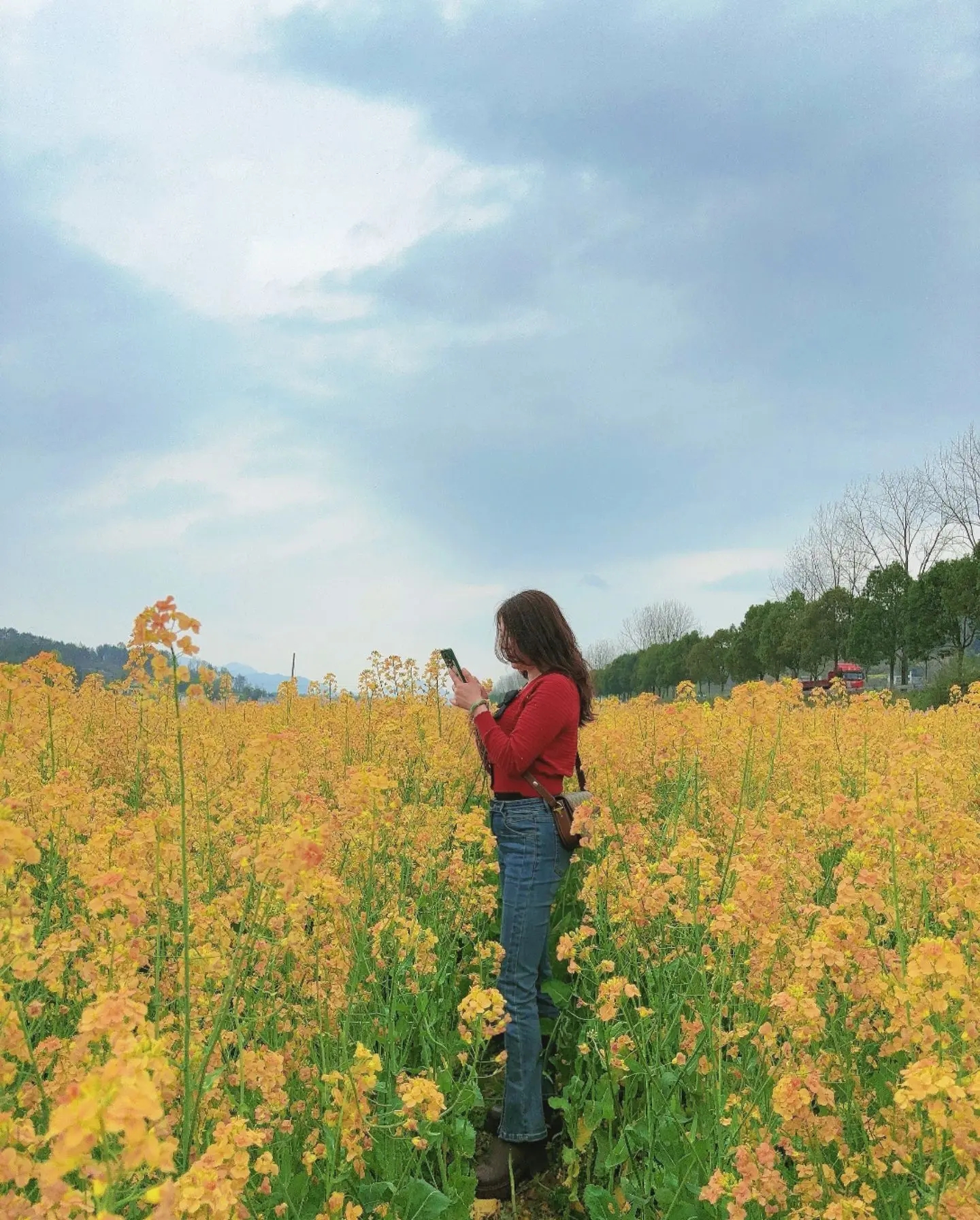 罗田油菜花