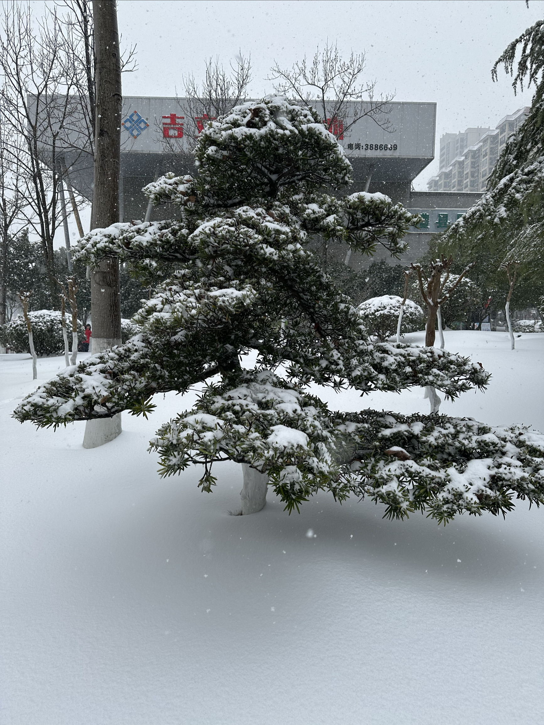 雪景