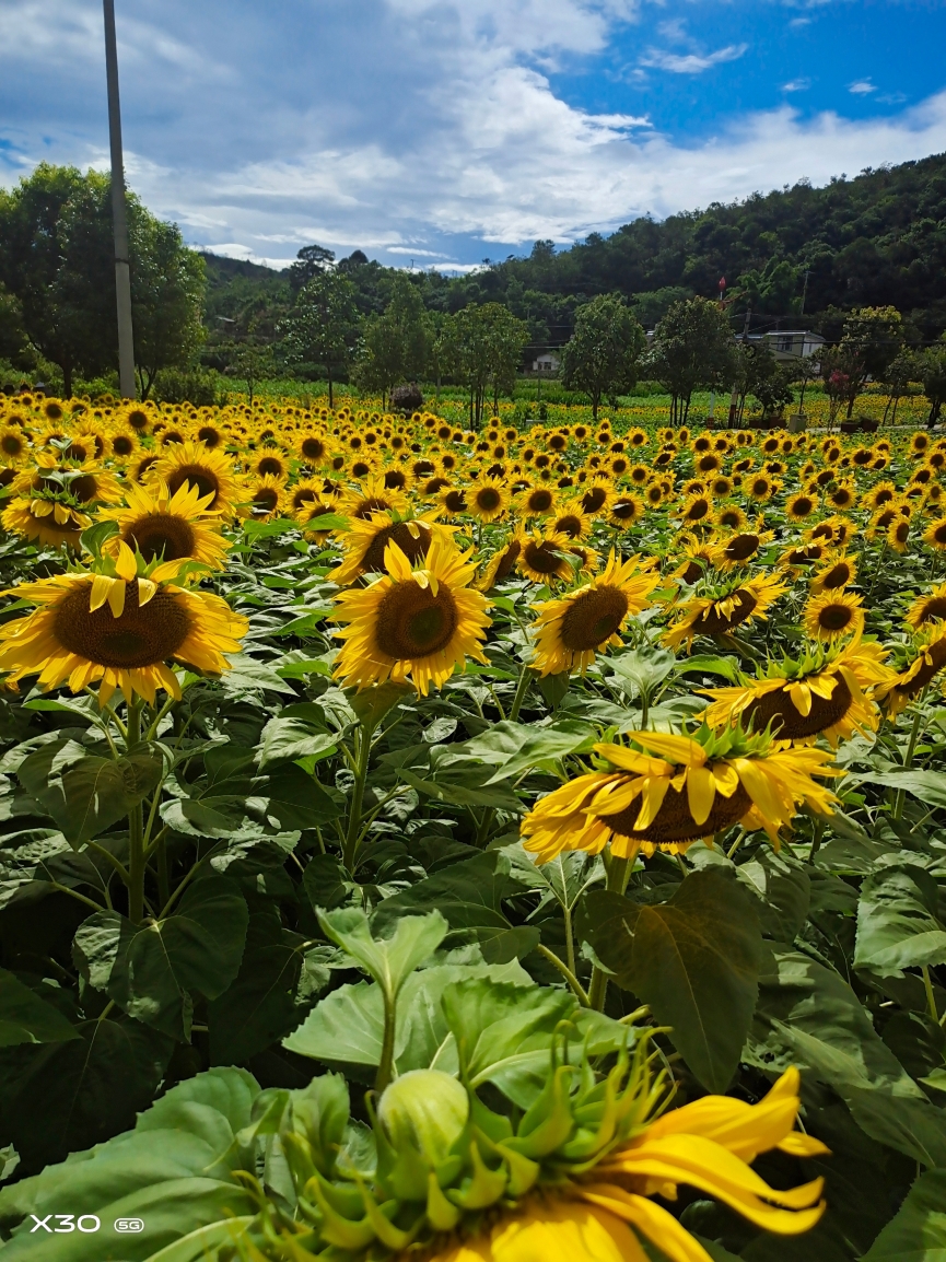 凯盛园农家饭庄餐厅图片