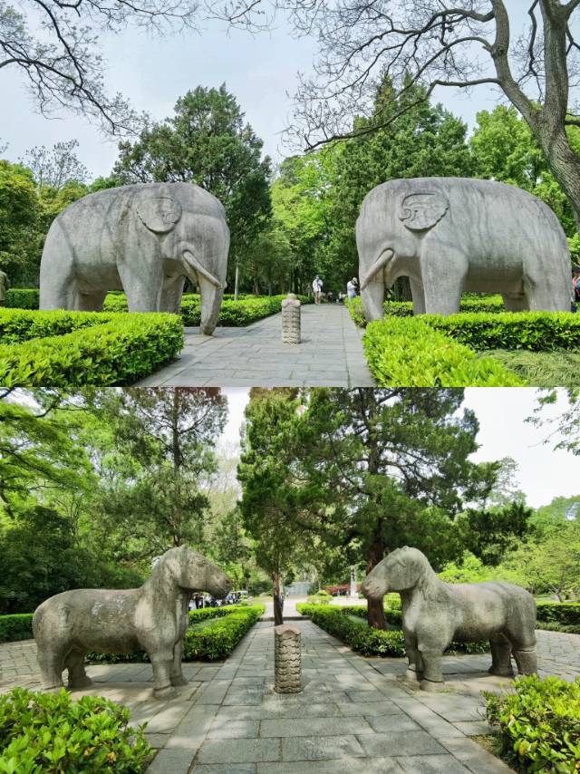 南京唯一的世界文化遗产，明孝陵坐落于钟山风景区内， 这里是明太祖朱元璋与其皇后的合葬陵寝。作为中国明